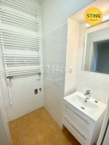 Pronájem bytu 1+1, Opava - Předměstí, Anenská, 40 m2