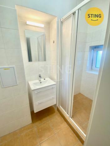 Pronájem bytu 1+1, Opava - Předměstí, Anenská, 40 m2