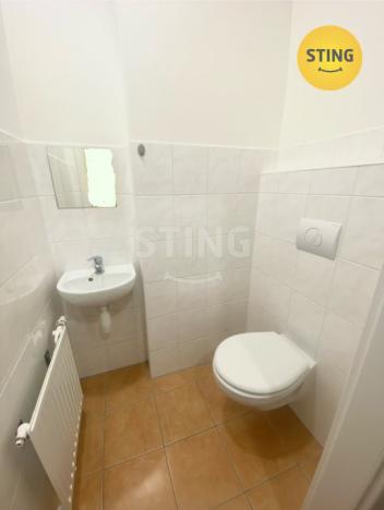 Pronájem bytu 1+1, Opava - Předměstí, Anenská, 40 m2