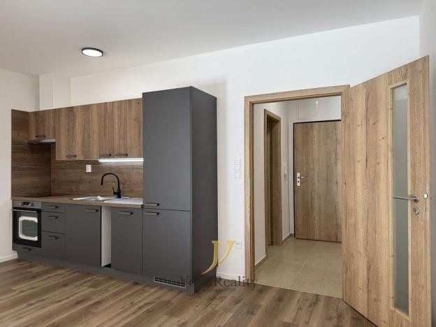 Pronájem bytu 1+kk, Olomouc, Janského, 48 m2