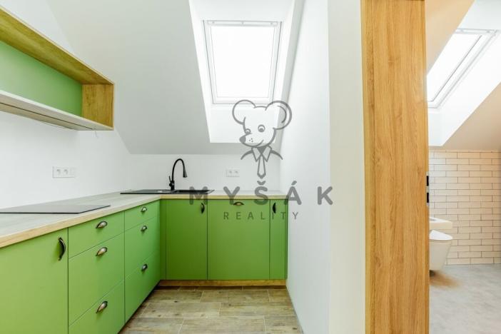 Pronájem bytu 1+kk, Drahotěšice, 40 m2