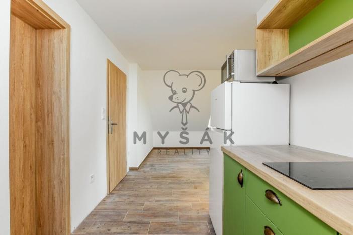 Pronájem bytu 1+kk, Drahotěšice, 40 m2