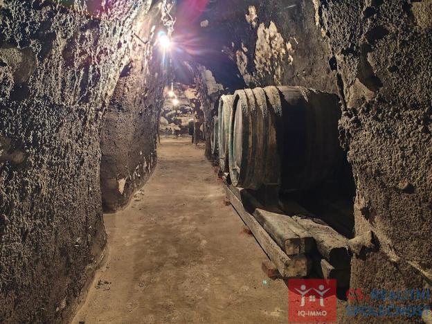 Pronájem vinného sklepa, Nový Šaldorf-Sedlešovice - Nový Šaldorf, 310 m2