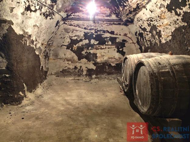 Pronájem vinného sklepa, Nový Šaldorf-Sedlešovice - Nový Šaldorf, 310 m2