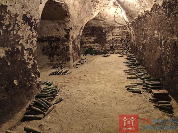 Pronájem vinného sklepa, Nový Šaldorf-Sedlešovice - Nový Šaldorf, 310 m2