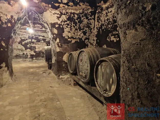 Pronájem vinného sklepa, Nový Šaldorf-Sedlešovice - Nový Šaldorf, 310 m2