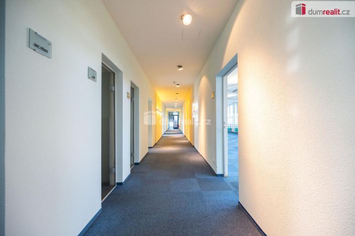 Pronájem kanceláře, České Budějovice - České Budějovice 6, Jeronýmova, 25 m2