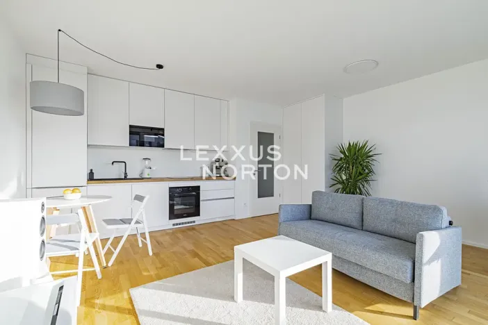 Prodej bytu 1+kk, Praha - Žižkov, Krásova, 36 m2