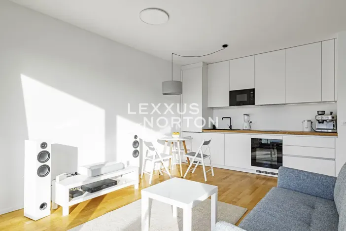 Prodej bytu 1+kk, Praha - Žižkov, Krásova, 36 m2