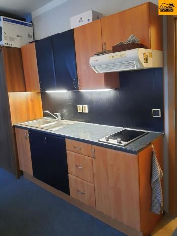Pronájem bytu 1+kk, Olomouc, Dolní hejčínská, 42 m2