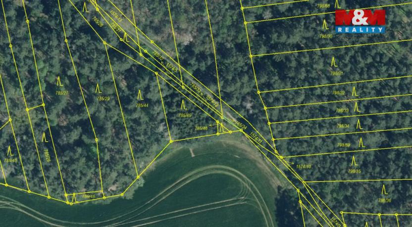 Prodej lesa, Koloveč, 13001 m2