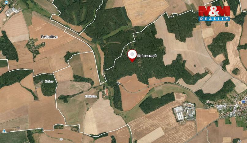 Prodej lesa, Koloveč, 13001 m2