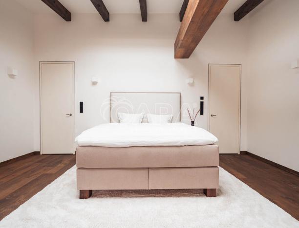 Pronájem bytu 5+kk, Praha - Nové Město, Truhlářská, 335 m2