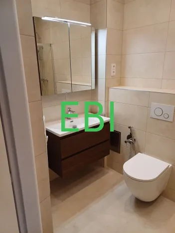 Pronájem bytu 4+1, Praha - Nové Město, Masarykovo nábřeží, 103 m2