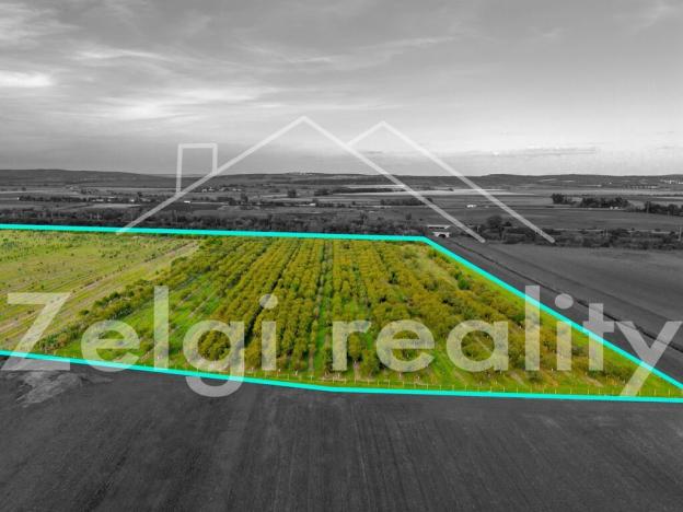 Prodej sadu/vinice, Rakvice, 210277 m2