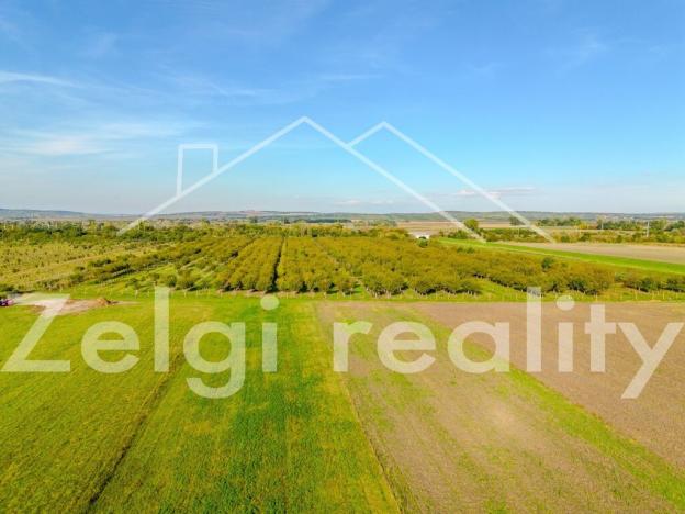 Prodej sadu/vinice, Rakvice, 210277 m2