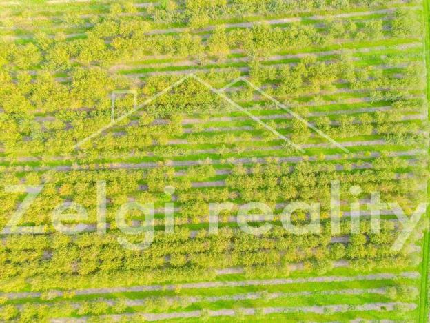 Prodej sadu/vinice, Rakvice, 210277 m2