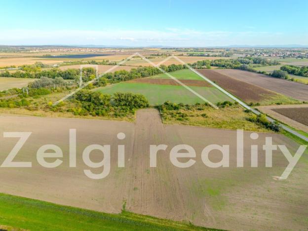 Prodej sadu/vinice, Rakvice, 210277 m2