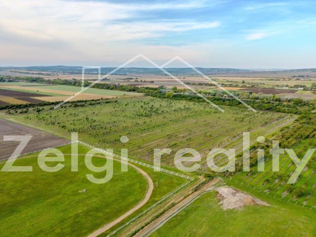 Prodej sadu/vinice, Rakvice, 210277 m2