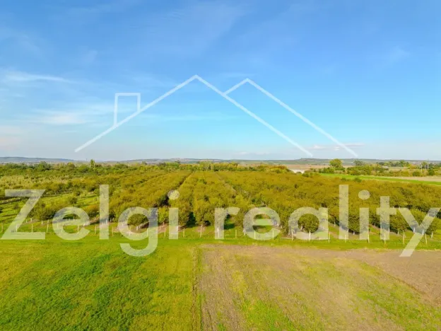 Prodej sadu/vinice, Rakvice, Horní, 210277 m2