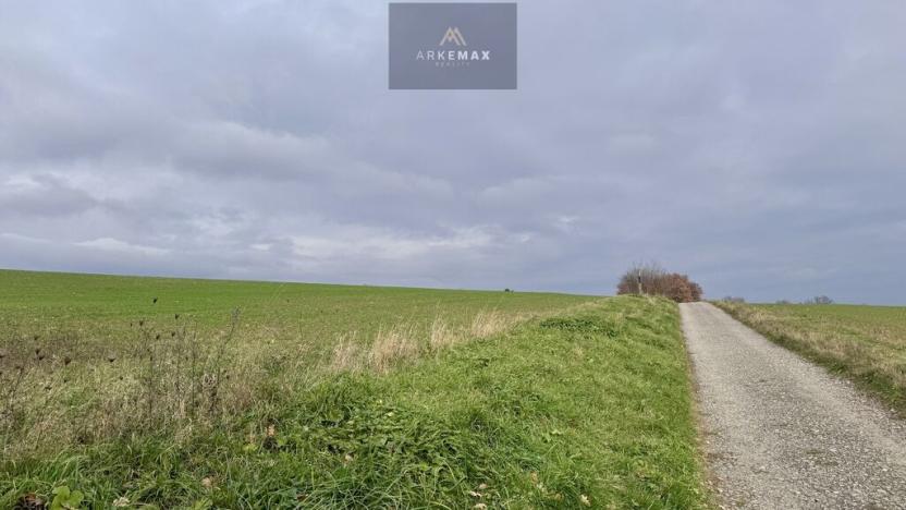 Prodej pole, Vřesina, 17151 m2