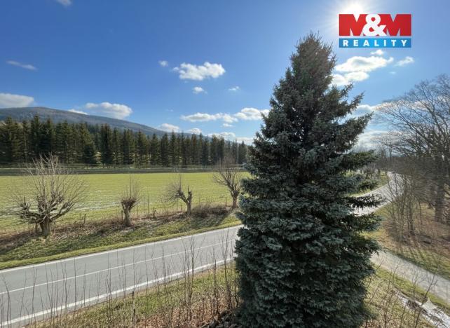 Prodej bytu 3+1, Nové Město pod Smrkem, Celní, 90 m2