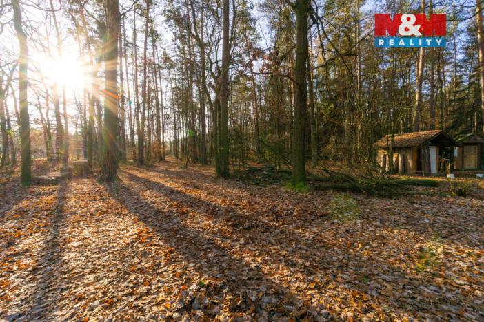 Prodej chaty, Týniště nad Orlicí - Štěpánovsko, 27 m2