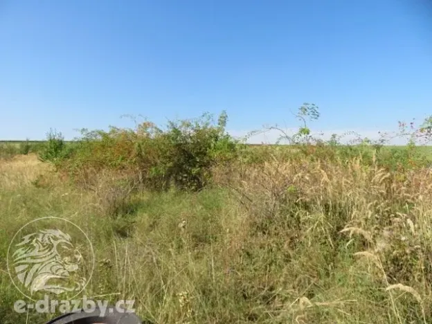 Dražba zahrady, Grunta, 927 m2