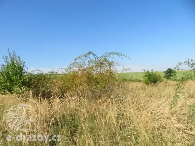 Dražba zahrady, Grunta, 901 m2