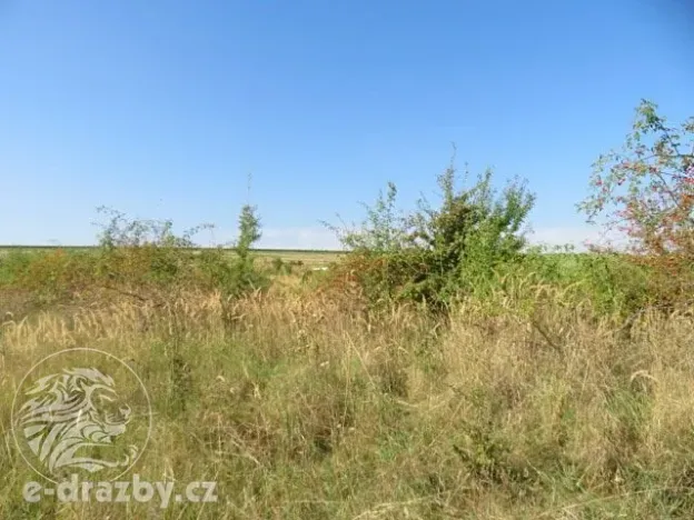 Dražba zahrady, Grunta, 901 m2