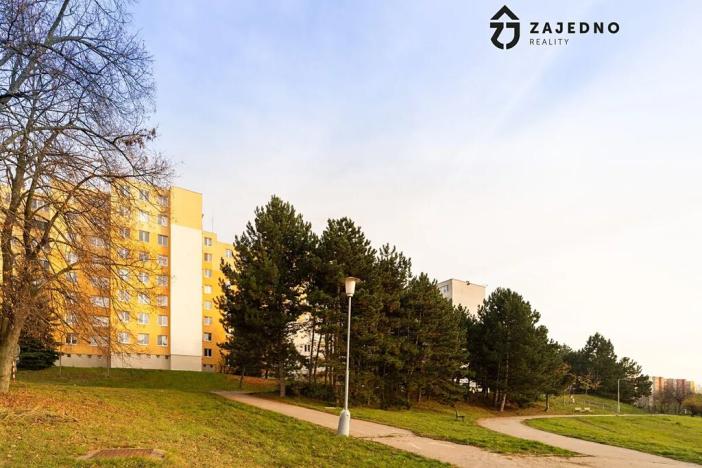 Pronájem bytu 1+1, Brno, Hochmanova, 39 m2