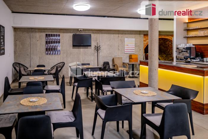 Pronájem obchodního prostoru, Pavlov, Česká, 264 m2