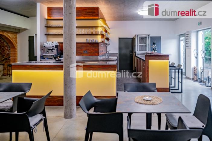 Pronájem obchodního prostoru, Pavlov, Česká, 264 m2