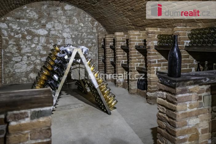 Pronájem obchodního prostoru, Pavlov, Česká, 264 m2