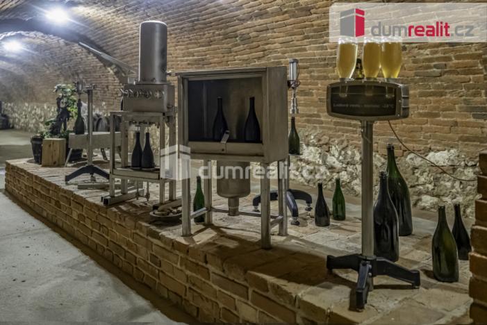 Pronájem obchodního prostoru, Pavlov, Česká, 264 m2