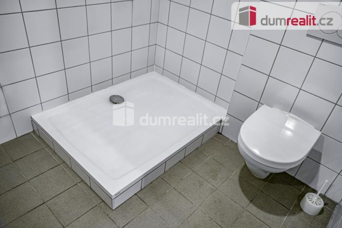 Pronájem obchodního prostoru, Pavlov, Česká, 264 m2