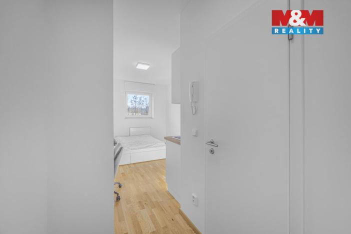 Prodej bytu 1+kk, Praha - Vysočany, U Lidového domu, 17 m2