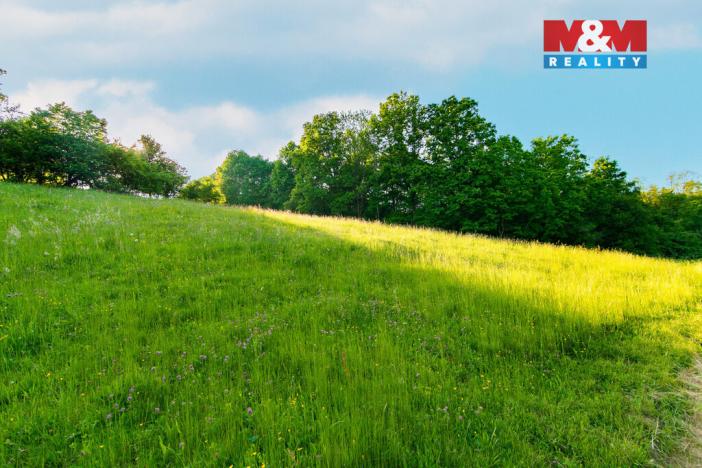 Prodej louky, Jílové u Prahy, 18692 m2