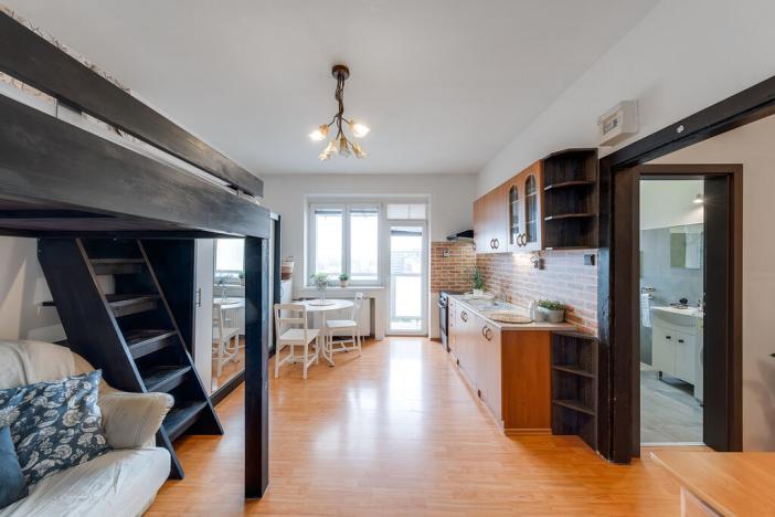 Pronájem bytu 1+kk, Ostrava - Vítkovice, Ruská, 31 m2