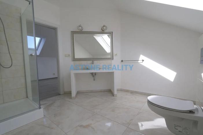 Pronájem rodinného domu, Trnová, 318 m2