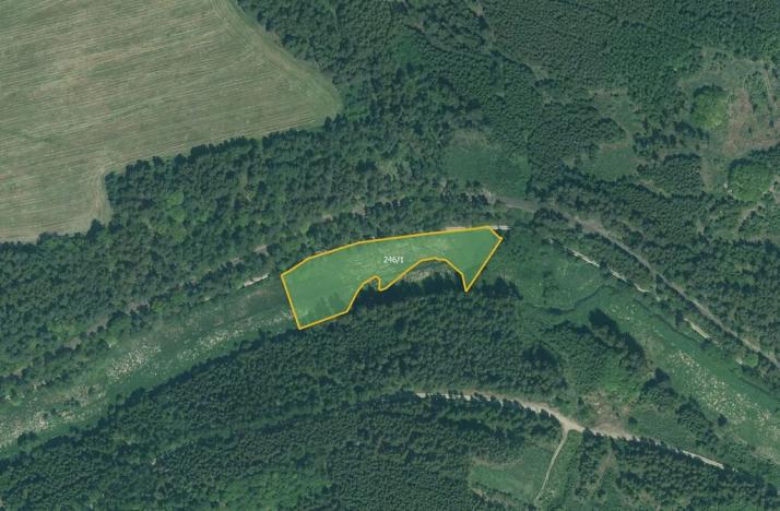 Prodej pole, Bor, 19873 m2