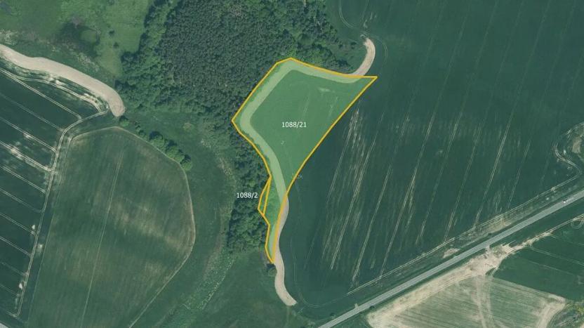 Prodej pole, Bor, 85030 m2