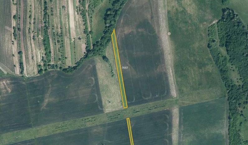 Prodej pole, Milotice, 7763 m2