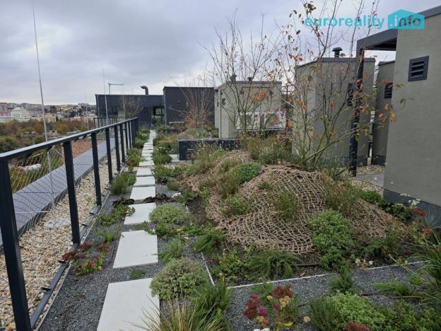 Pronájem bytu 1+kk, Praha - Smíchov, U Lihovaru, 29 m2