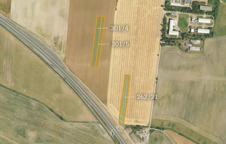 Prodej podílu pole, Dolní Roveň, 39803 m2