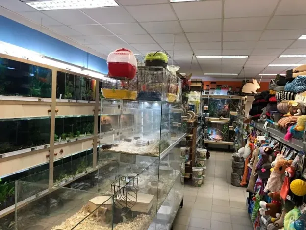 Pronájem obchodního prostoru, Jihlava, Přední, 270 m2