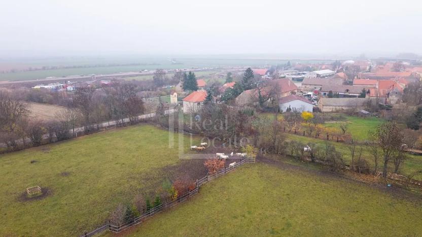 Prodej podílu pozemku, Třebíz, 161602 m2