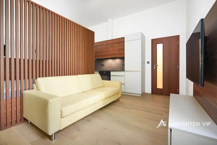 Pronájem bytu 1+kk, Brno, Masarykova, 35 m2