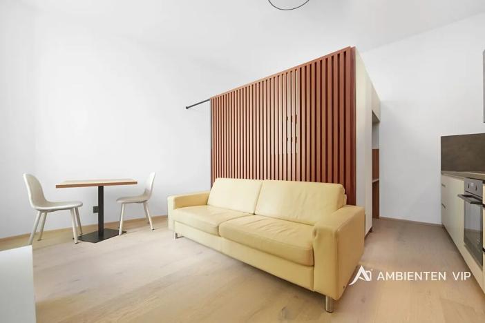 Pronájem bytu 1+kk, Brno, Masarykova, 35 m2