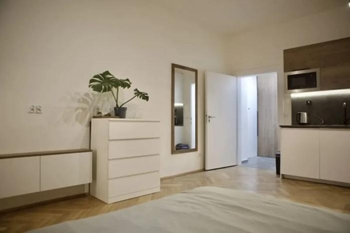 Pronájem bytu 1+kk, Praha - Žižkov, 27 m2